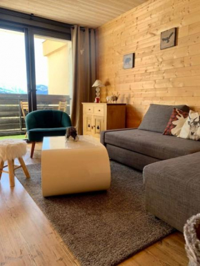 Appart style chalet superbe vue, SKI VIP remise 20 %